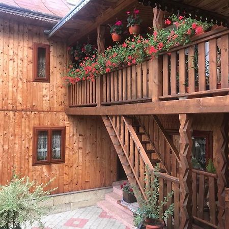 Pensiunea Agroturistica Casa Colinita Vatra Moldovitei Ngoại thất bức ảnh