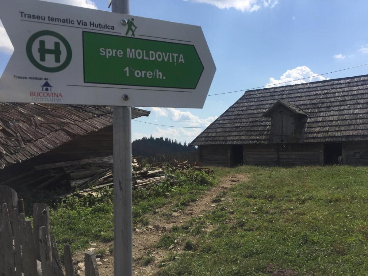Pensiunea Agroturistica Casa Colinita Vatra Moldovitei Ngoại thất bức ảnh