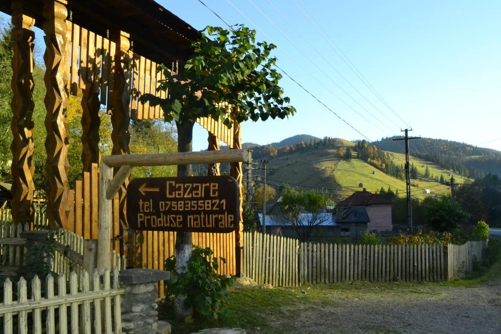 Pensiunea Agroturistica Casa Colinita Vatra Moldovitei Ngoại thất bức ảnh