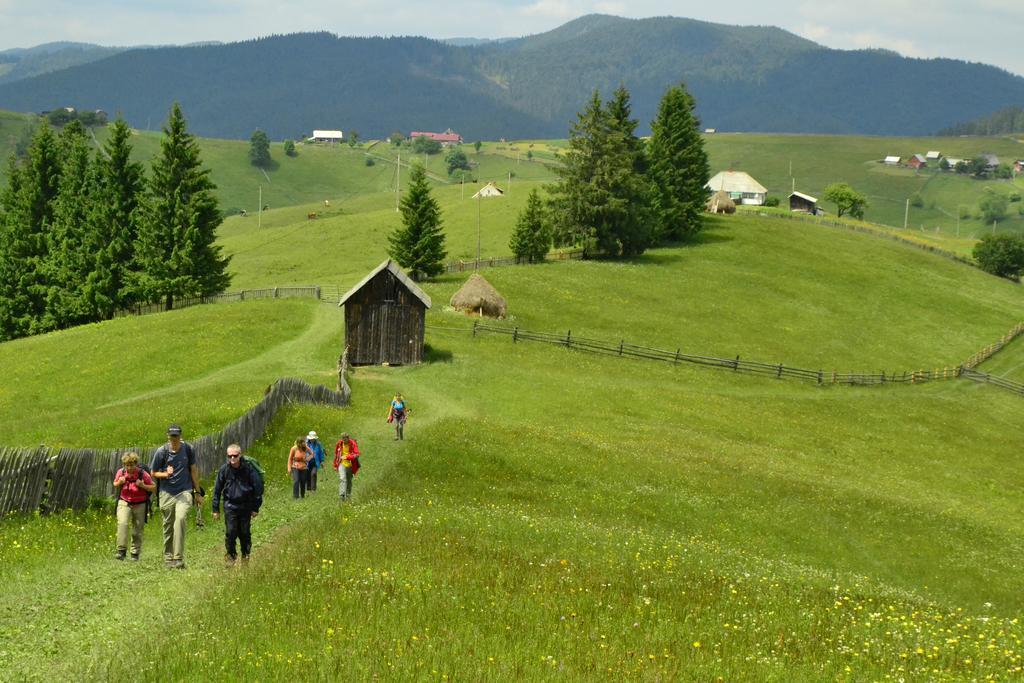 Pensiunea Agroturistica Casa Colinita Vatra Moldovitei Ngoại thất bức ảnh