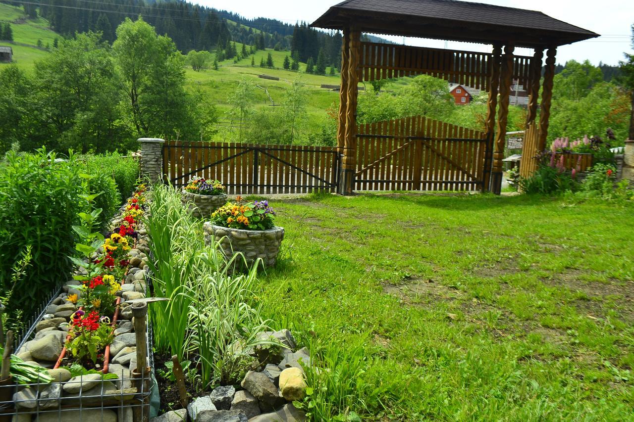 Pensiunea Agroturistica Casa Colinita Vatra Moldovitei Ngoại thất bức ảnh