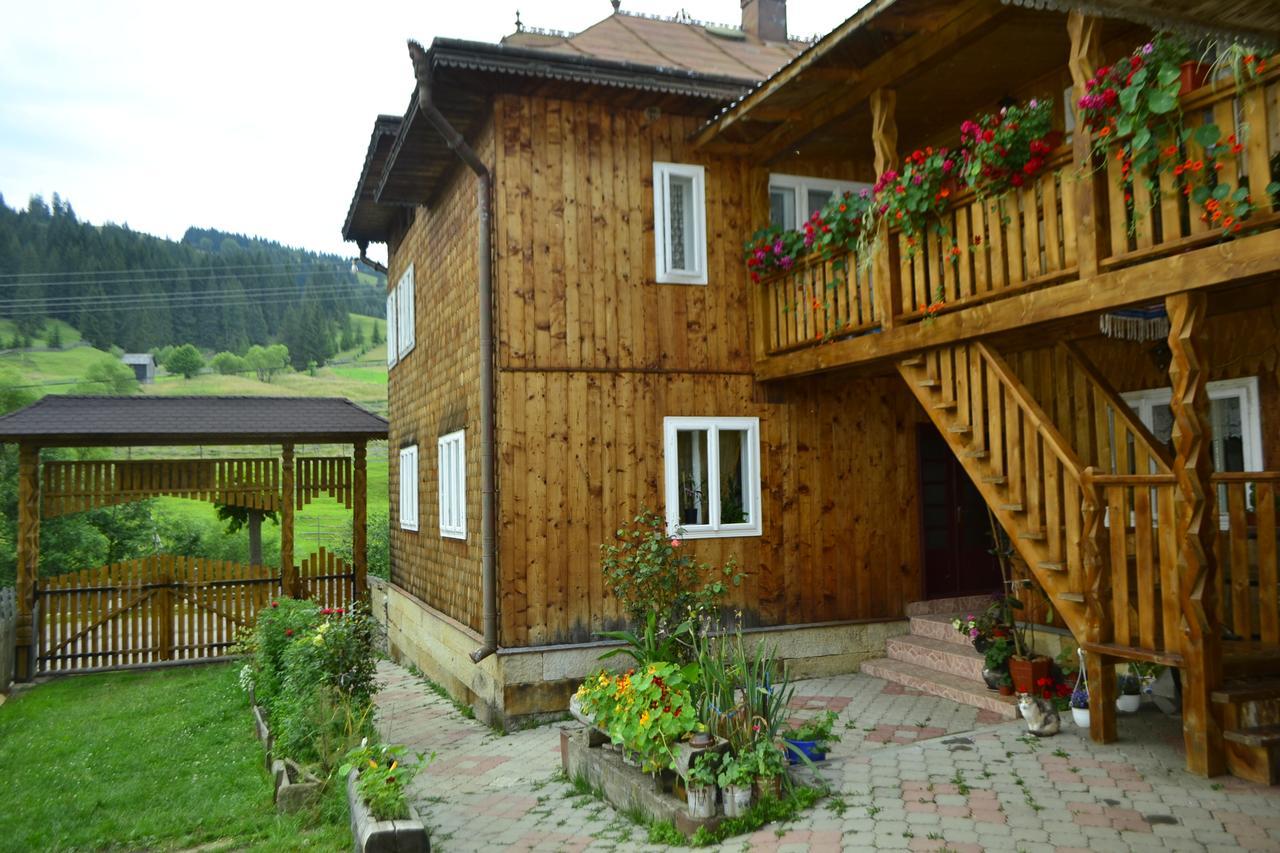 Pensiunea Agroturistica Casa Colinita Vatra Moldovitei Ngoại thất bức ảnh
